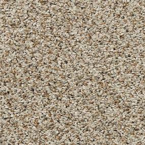 Textured Saxony Fedora Grey Gray Carpet