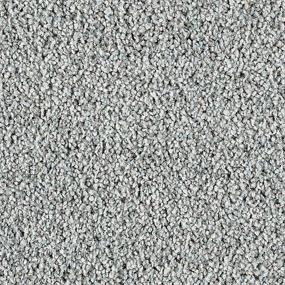 Textured Saxony Rhapsody Gray Carpet