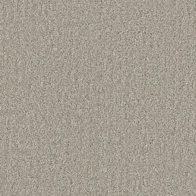 Pattern Sculpted Brown Carpet