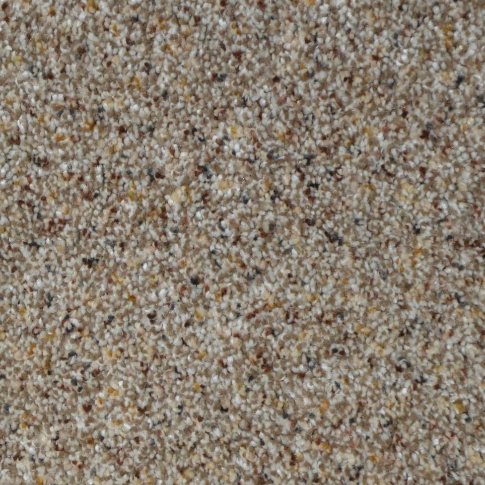 Texture Grassland Beige/Tan Carpet