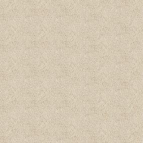 Textured Saxony Angora Beige/Tan Carpet
