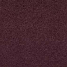 Textured Saxony Lavender Purple Carpet