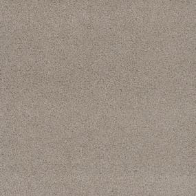 Cut Pile Look Ahead Brown Carpet