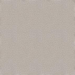 Plush Saxony Sandy Beach Gray Carpet