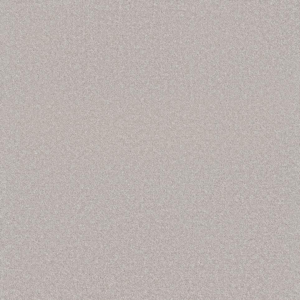 Plush Saxony Sandy Beach Gray Carpet