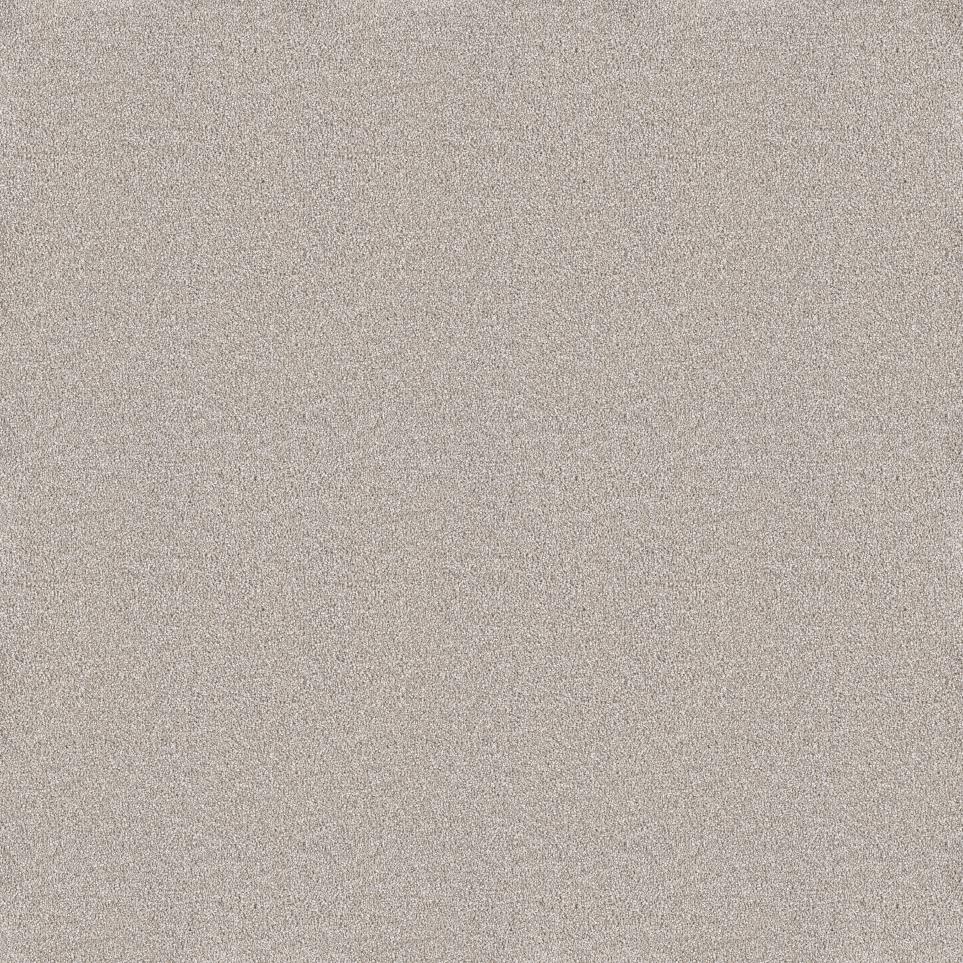 Plush Saxony Sandy Beach Gray Carpet