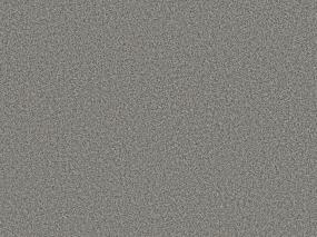 Textured Saxony Expressway Gray Carpet