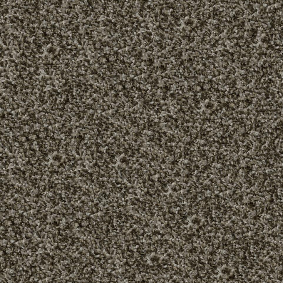 Plush Cottage Brown Carpet