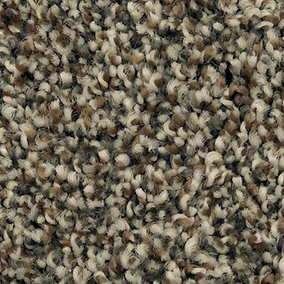 Textured Saxony Frontier Brown Carpet