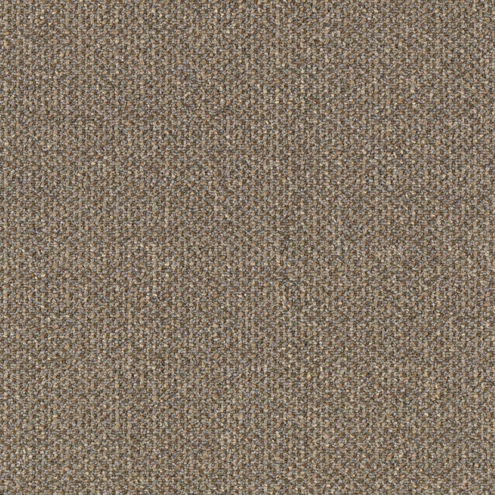 Pattern Square-Shooter Beige/Tan Carpet