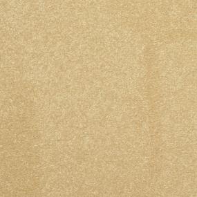 Textured Saxony Studio Beige/Tan Carpet