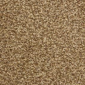 Textured Saxony High Point Brown Carpet