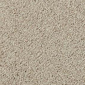 Textured Saxony Estes Brown Carpet