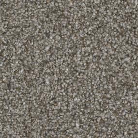 Textured Saxony Faculty Brown Carpet