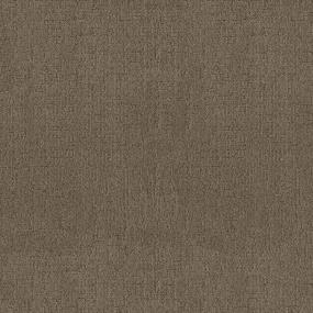 Pattern Mocha Brown Carpet