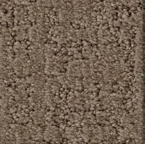Pattern Mocha Brown Carpet