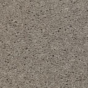 Textured Saxony Bare Necessities Beige/Tan Carpet