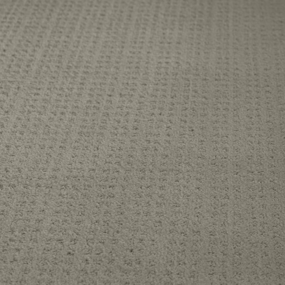 Pattern Anchor Gray Carpet