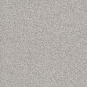 Cut Pile Griffon Gray Carpet