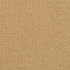 Pattern Bit-O-Honey Yellow Carpet