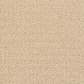 Pattern Brush Canvas Beige/Tan Carpet