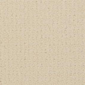 Pattern Cottage White Beige/Tan Carpet