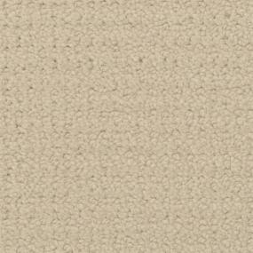 Pattern Dover Beige/Tan Carpet