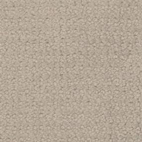 Pattern Grey Cloud Beige/Tan Carpet