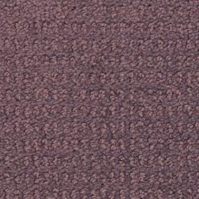Iris Petal Purple Carpet
