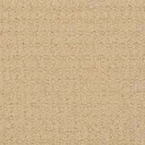 Pattern Mescal Beige/Tan Carpet