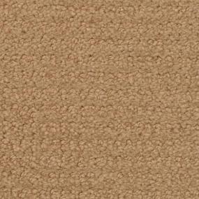 Pattern Wood Creek Beige/Tan Carpet