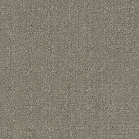 Pattern Rare Beauty Brown Carpet