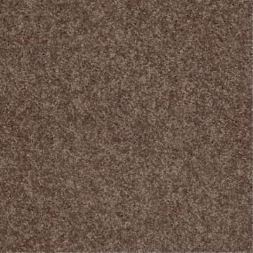 Textured Saxony Walking Bridge Brown Carpet