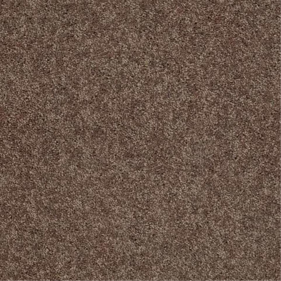 Textured Saxony Walking Bridge Brown Carpet