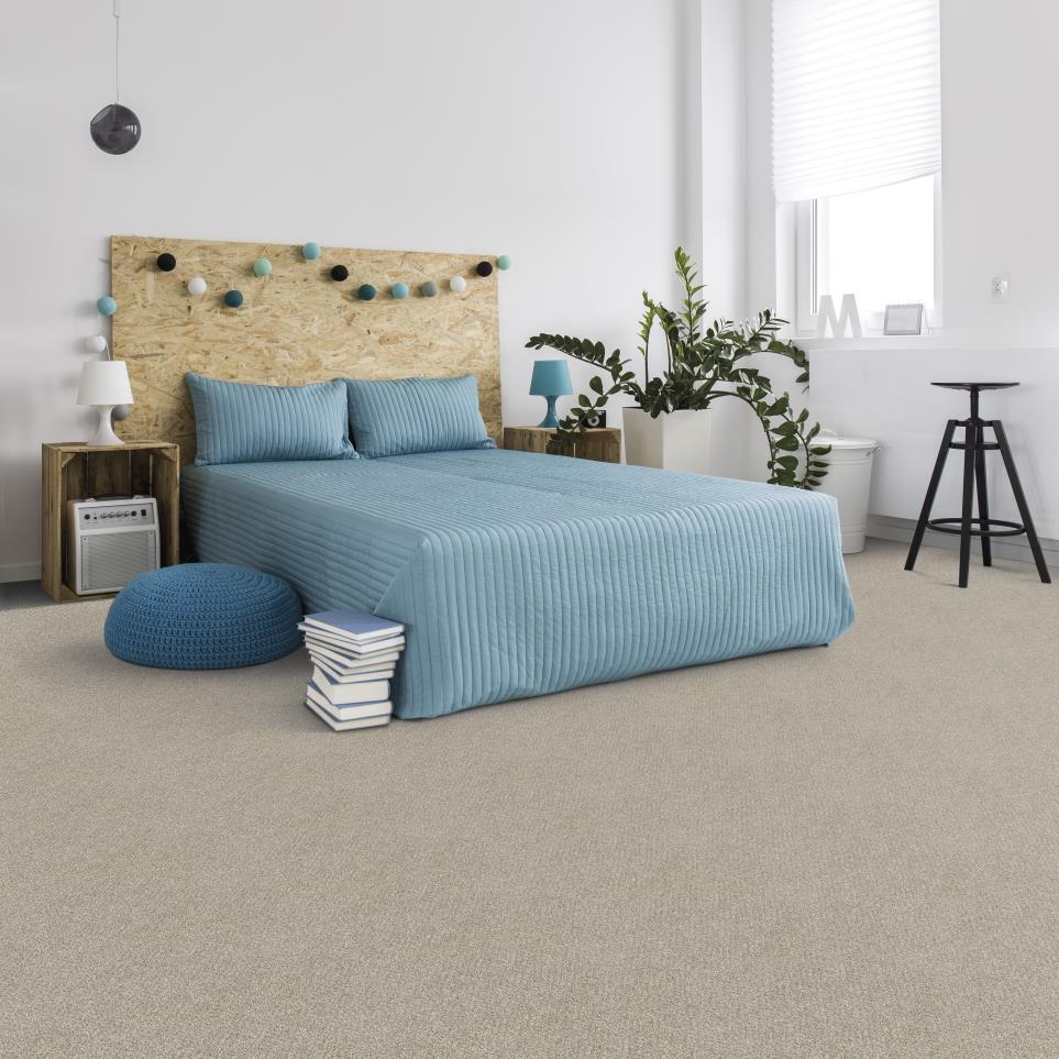 Plush Saxony Traditional Gray Carpet