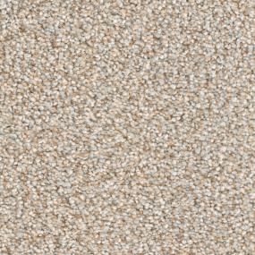 Plush Saxony Traditional Gray Carpet
