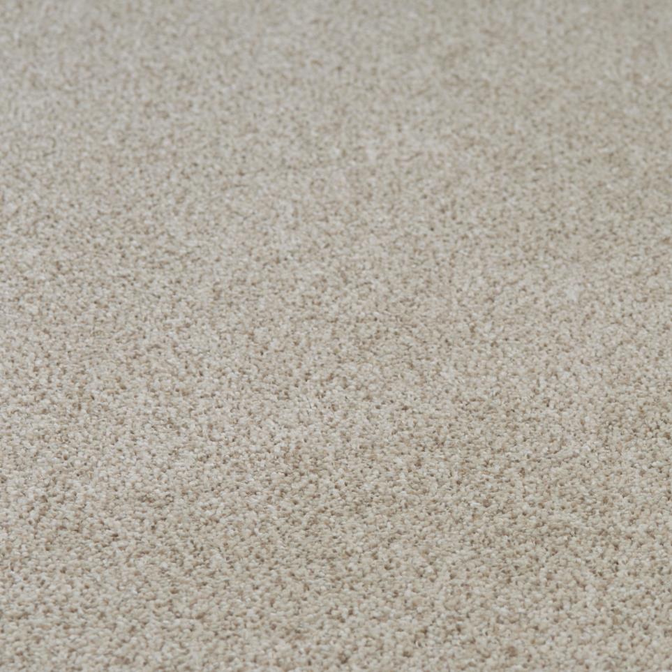 Plush Saxony Traditional Gray Carpet