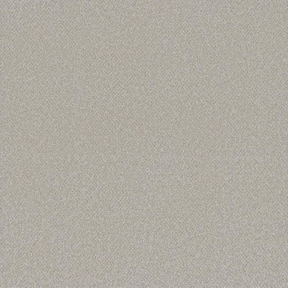Plush Saxony Traditional Gray Carpet