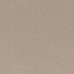 Textured Saxony Polo Beige/Tan Carpet