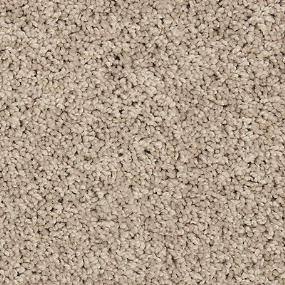 Texture Thankful Beige/Tan Carpet