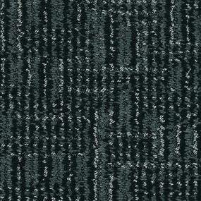 Pattern Paradise Black Carpet