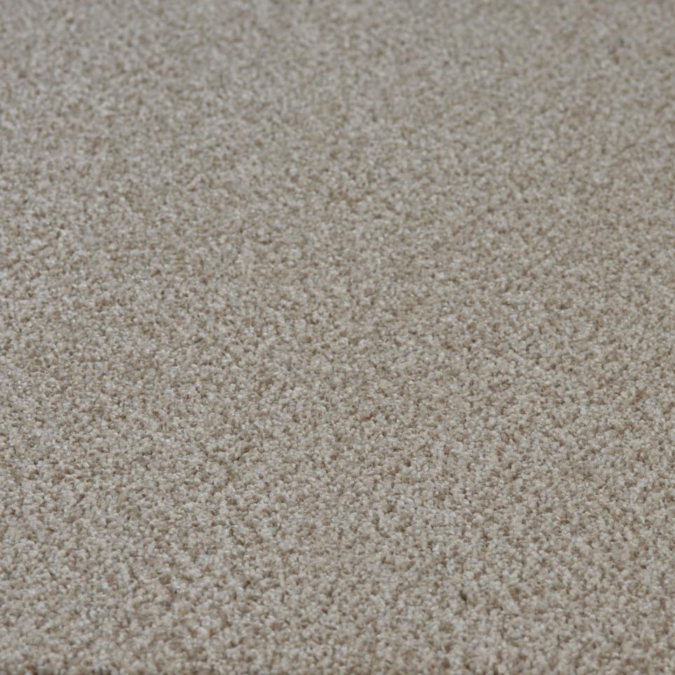 Textured Saxony Special Event Beige/Tan Carpet