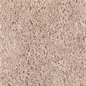 Textured Saxony Safari Tan Beige/Tan Carpet