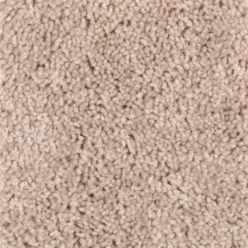Textured Saxony Safari Tan Beige/Tan Carpet