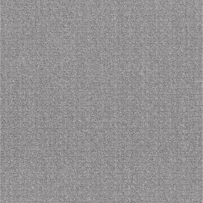 Pattern Mirror Gray Carpet