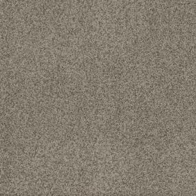 Textured Saxony Cajun Earth Brown Carpet