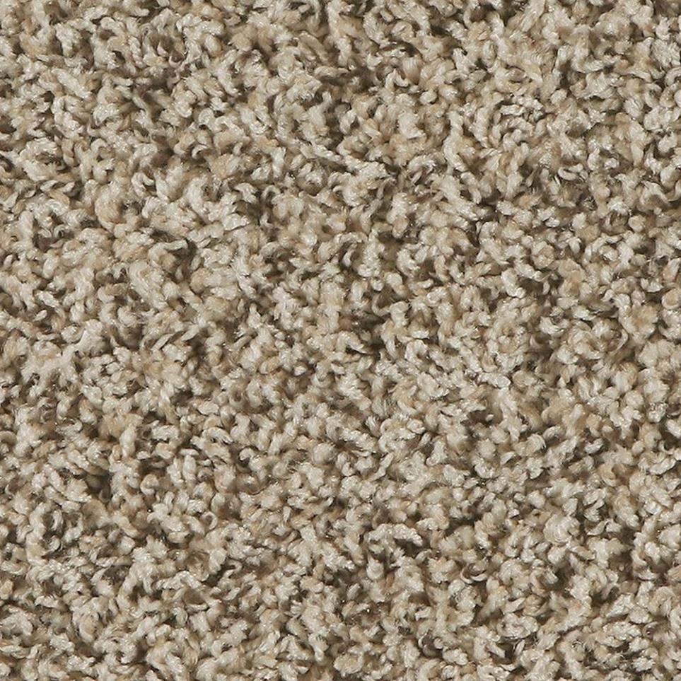 Textured Saxony Cajun Earth Brown Carpet