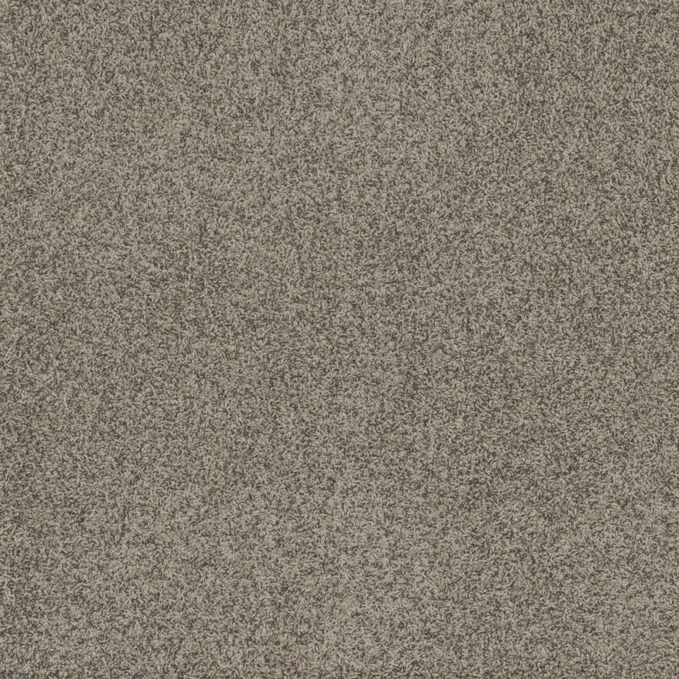 Textured Saxony Cajun Earth Brown Carpet