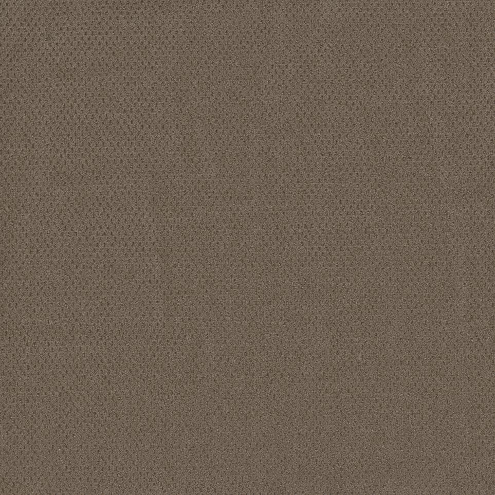 Pattern Established Brown Carpet