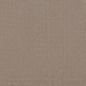 Pattern Sienna Beige/Tan Carpet